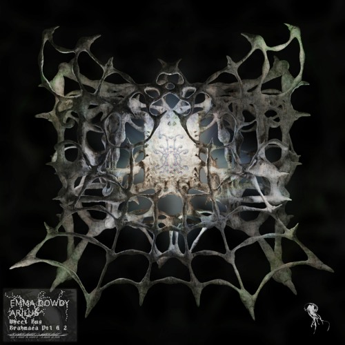 PREMIERE /// Emma Dowdy - Brahmaea (Part I & II) [APHOTICA]