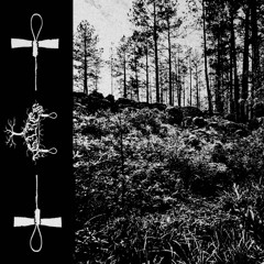 One Day all That Will be Left is a Bitter Memory of a Life Left Unfinished