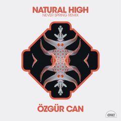 Natural High (Never Spring Remix)