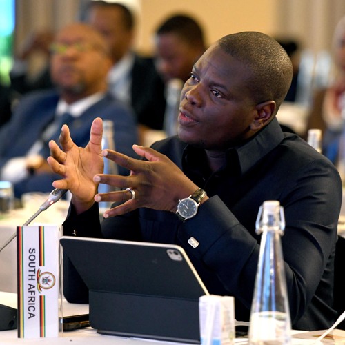 Africa and the Nordic countries must always find each other on the reform of global governance institutions – Minister Lamola