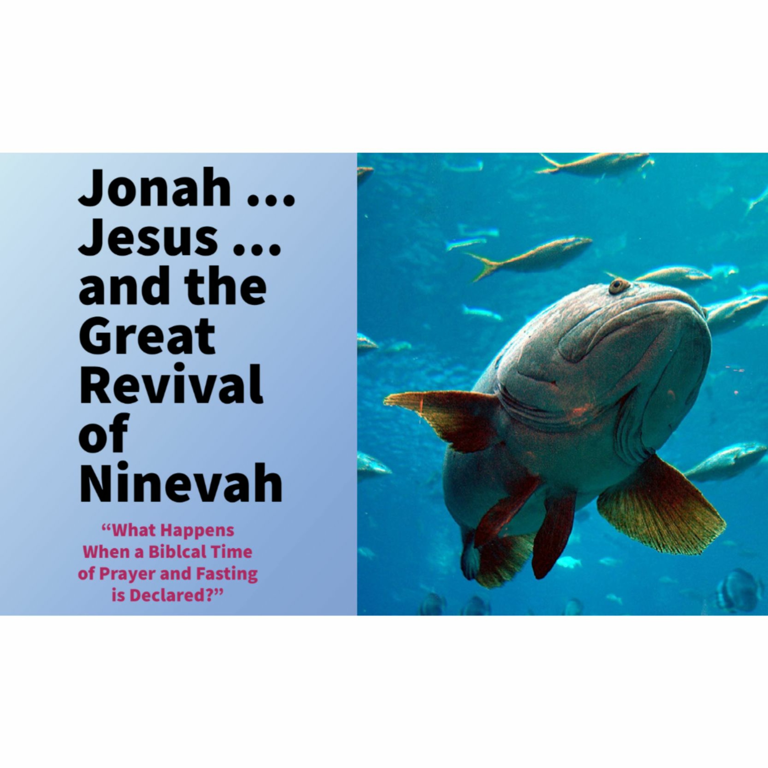 Confessions of a Recovering Pastor