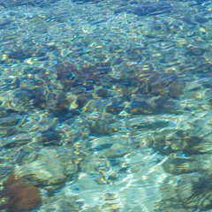 Clear