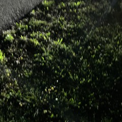 It tastes like escape