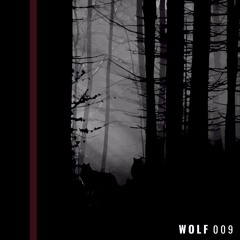 Wolf Cave 009 I Progressive I Wolf Street I 2022