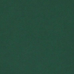 stereowall - alive (cover)