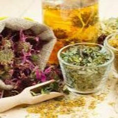 LRodriguez_Preparaciones Herbolarias Simples