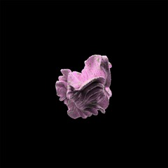 IV96 - Nandu - February Silver Lining