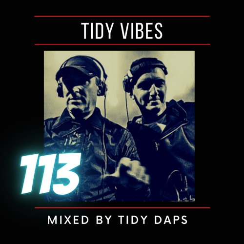 Tidy Vibes 113