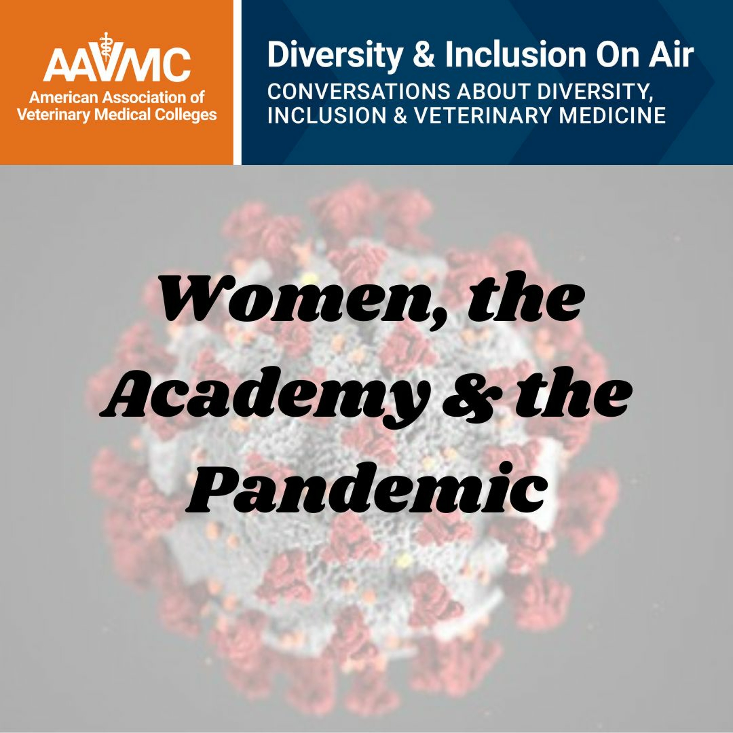 AAVMC\'s On Air: Conversations about Issues in Veterinary Medicine