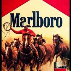 bugün uyanma x MARLBORO DOUBLE FUSION