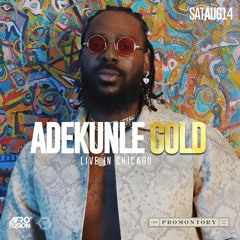 PROMO MIX: ADEKUNLE GOLD LIVE IN CHICAGO 8/14