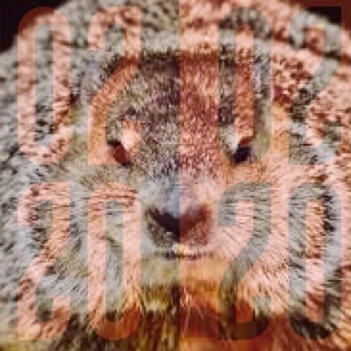 Dear Refeoh, Episode 71- Palindrome