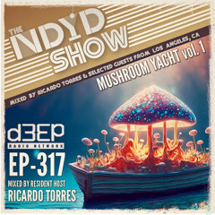 The NDYD Radio Show EP317 - Mushroom Yacht vol 1