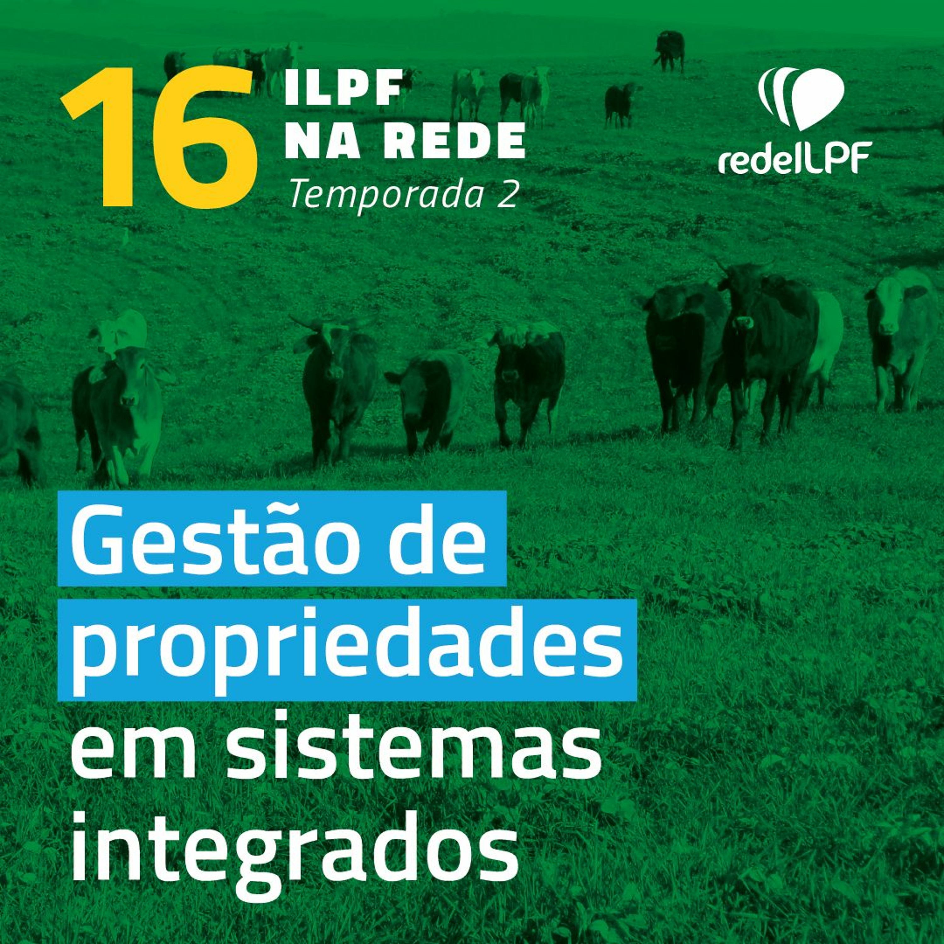 ILPF Na Rede