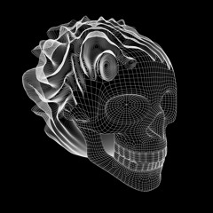 Premiere: Rea K & WM - Synthetic Blaze [Black and White Records]