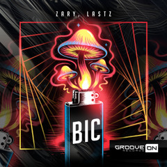 ZARY, Lastz - BIC (Original Mix)
