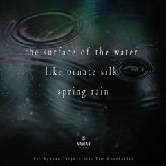 Boson Spin - Spring Rain [naviarhaiku352]