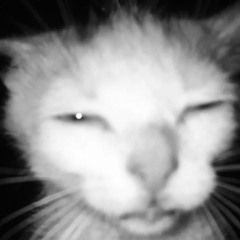 LIESAA - ID (Urielle Remix) v5.2