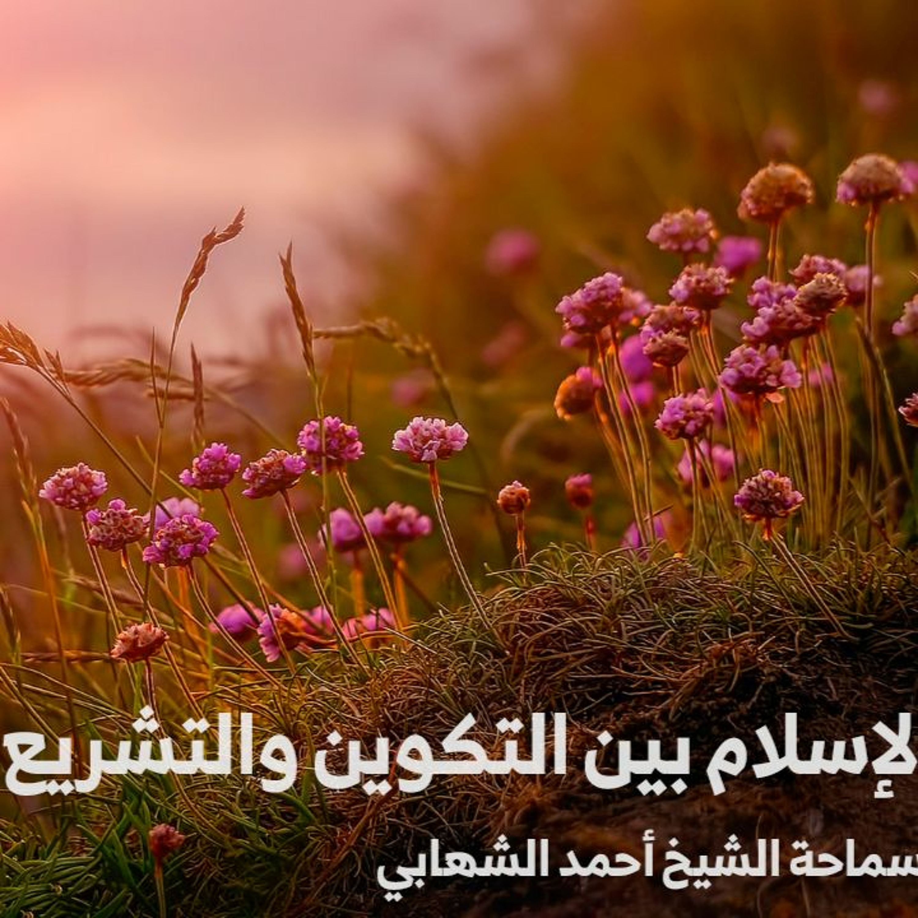 الإسلام بين التكوين والتشريع - حديث الجمعة ١٤ يناير ٢٠٢٢م مع سماحة الشيخ أحمد الشهابي episode artwork