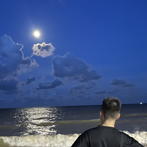 Chưa Kịp Nói Lời Yêu Em Remix