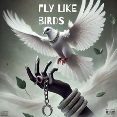 fly like birds ft. LilTysavageLLN