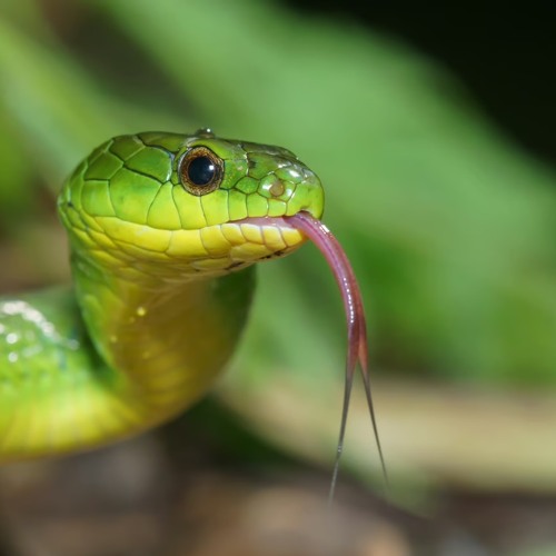 BeezyB- Crack the Seal Prod. Lynn Williams