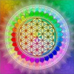 Yoyo's Vibes