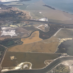 as I watch as You go