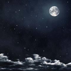 under the beautiful moon