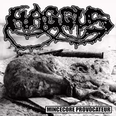 Haggus - Mincecore Provocateur Split w/ Agathocles [2015]