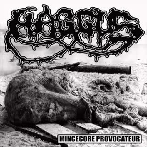 Haggus - Mincecore Provocateur Split w/ Agathocles [2015]
