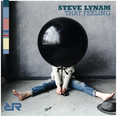 Steve Lynam - This Feeling