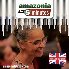 Amazon in 5 minutes: COP28, oil and Marina Silva