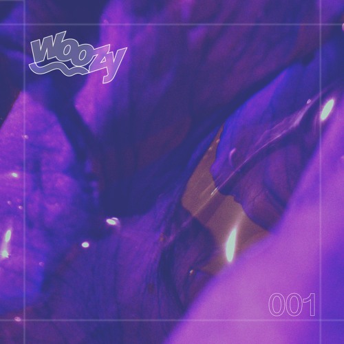 WZY001 (Previews)