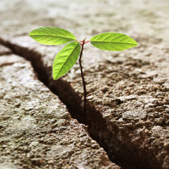 Persistence and Hope