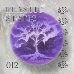 Podcast 012 Elastic Static