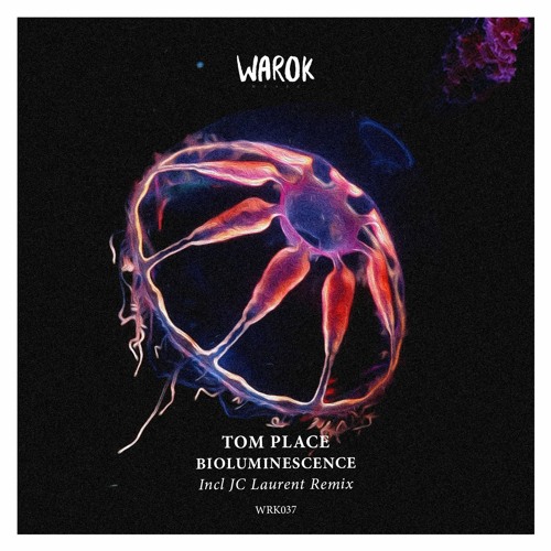 PREMIERE: Tom Place - Simple Maths (WRK037)