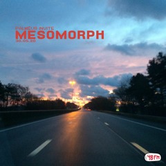 Palmëur invite Mesomorph @ 48FM 30.05.20