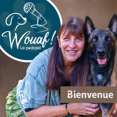 Ep. #0 - Des chiens pour la vie : des histoires inspirantes et des conseils éclairants