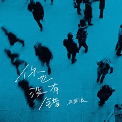 你也没有错-王贰浪