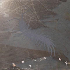 DepthsOTO_demo14.mp3 [whyage]