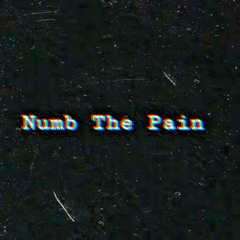 Numb The Pain - clarx, anikdote & shiah maisel