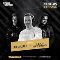 P1lgr1ms Friends - Leap Seconds EP40
