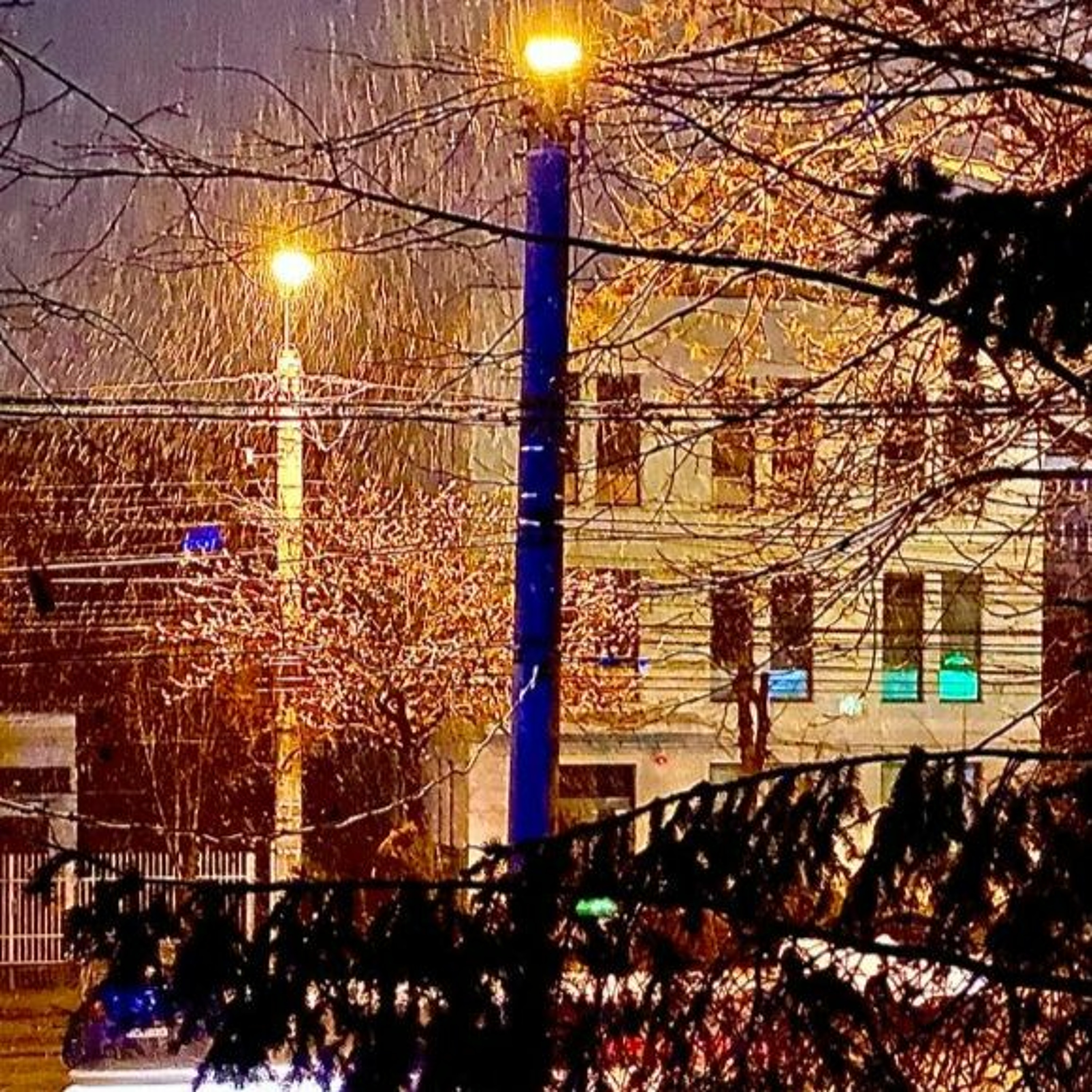 Cári Tibor