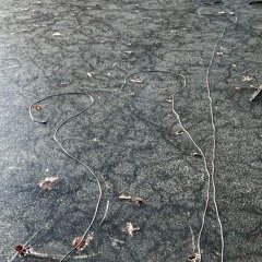 Brooks Pond Ice