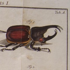 231028_KcckPutosSecos-PassosManuel