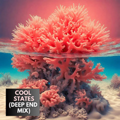 Cool States (Deep End Mix) by Ray Vazquez