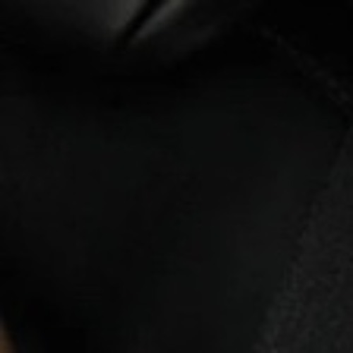 wrist
