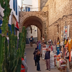 LaMama Jam Session (Essaouira)