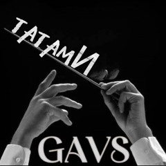 GAVS - TATAMI